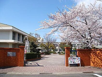 名古屋市立守山小学校 410ｍ(徒歩6分)