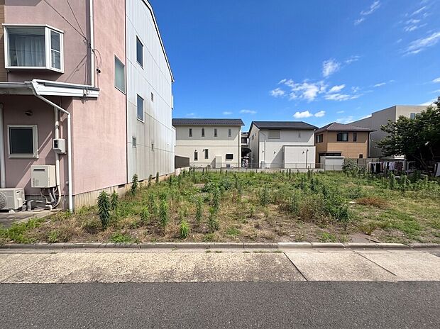 【現地写真　C区画】2026年6月撮影