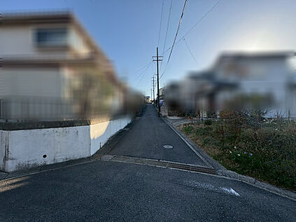 現地写真（2026年3月）撮影