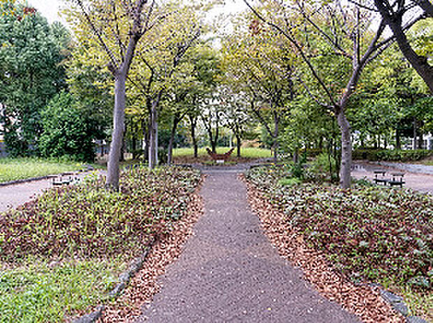 南郊公園（約250m）