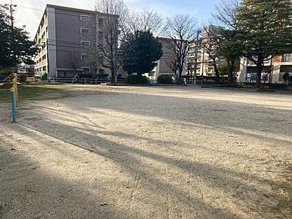 荒輪井公園 310m
