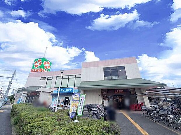 ライフ水元店まで350m 徒歩5分♪