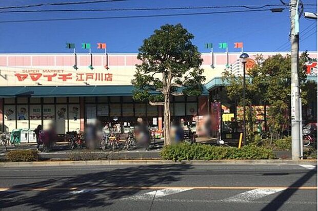 ヤマイチ江戸川店（約500m）