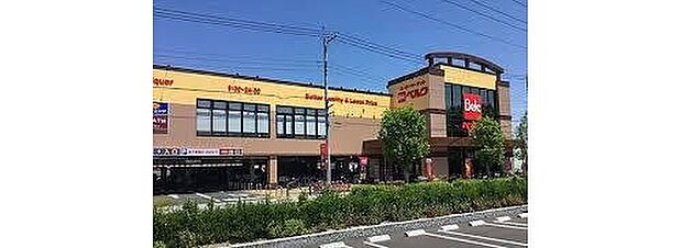 ベルク三郷戸ケ崎店（約1,100m）
