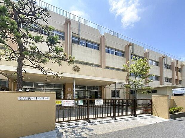 葛飾区立花の木小学校(約1,000m)