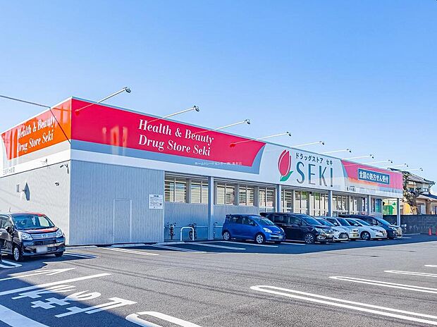 ドラッグストアセキ三郷戸ヶ崎店（約1,000m）