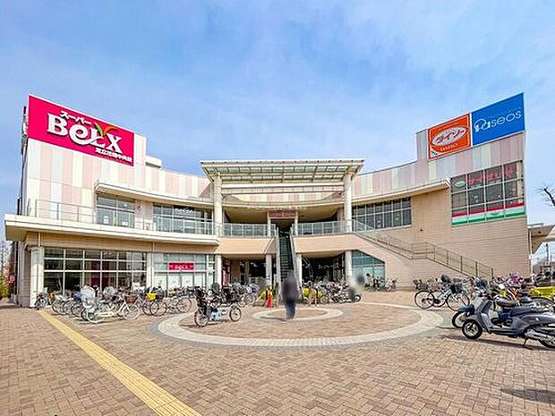 ベルクス足立花畑中央店（約450m）