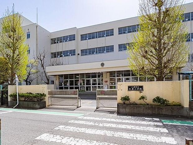 八潮市立大原小学校（約160m）