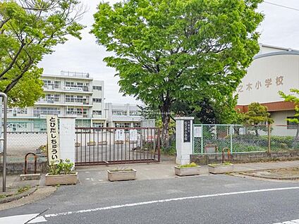 八潮市立松之木小学校 550m(徒歩7分)