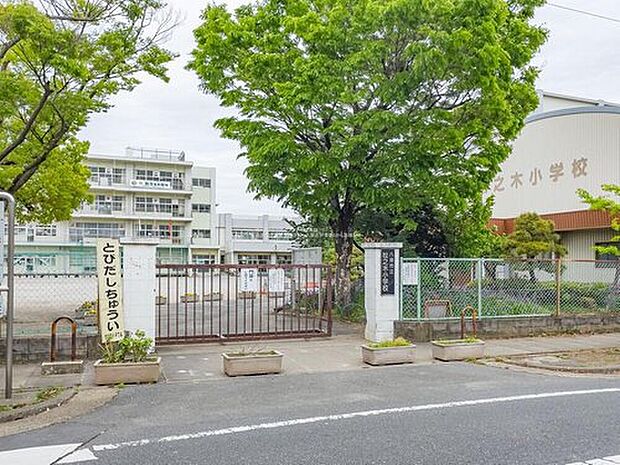 八潮市立松之木小学校（約550m）