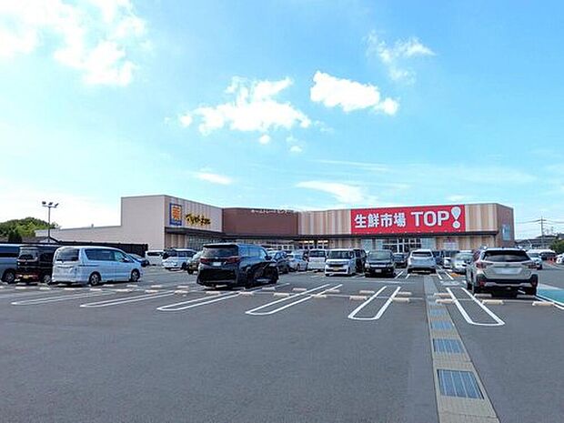 生鮮市場TOP八潮伊草店（約600m）