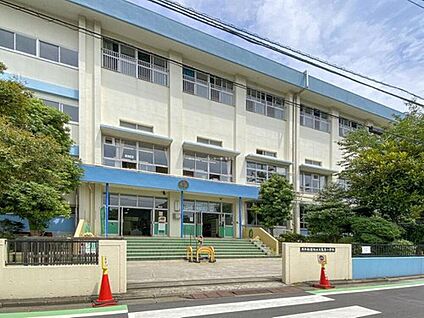 葛飾区立亀青小学校 87m(徒歩2分)