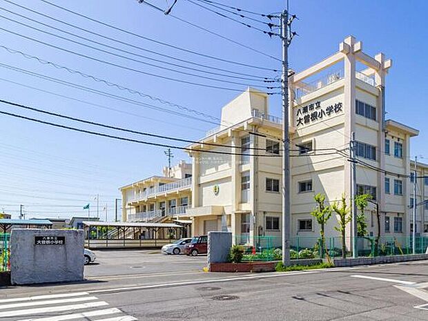 八潮市立大曽根小学校（約1,100m）
