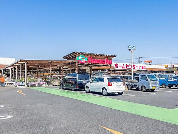 島忠ホームズ八潮店(約500m)