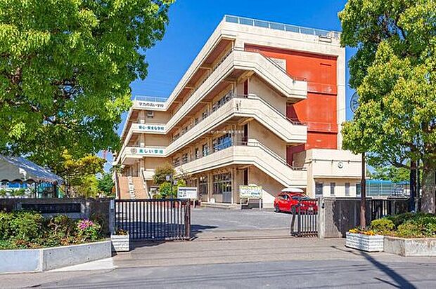 三郷市立早稲田中学校（約850m）