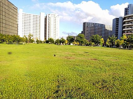 にいじゅくみらい公園 800ｍ(徒歩10分)