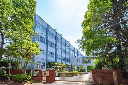 江戸川区立松江第一中学校 1100ｍ(徒歩14分)