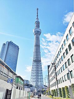 東京スカイツリー 1000m(徒歩13分（自転車で4分）)