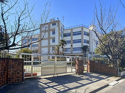 足立区立青井小学校 220ｍ(徒歩3分)
