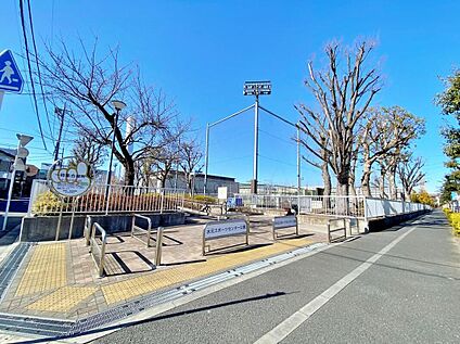 水元スポーツセンター公園 550ｍ(徒歩7分)