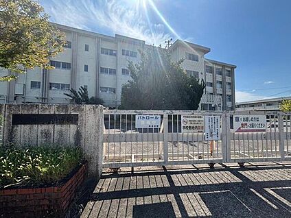 東郷町立音貝小学校 800m(徒歩10分)