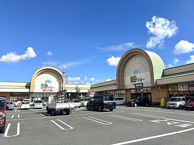 ドミー小坂井店（約3,300m）