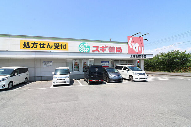 スギ薬局　上池店（約900m）
