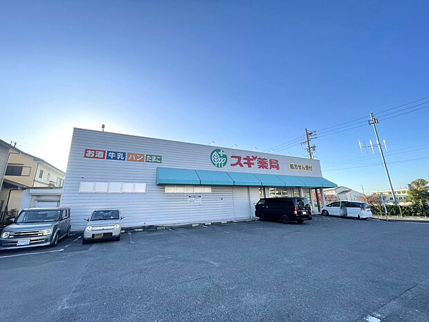 スギ薬局新知店（約300m）
