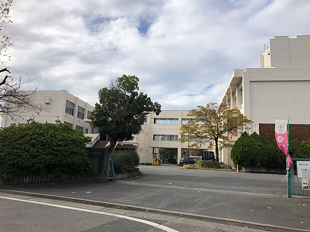 つつじが丘小学校(約700m)