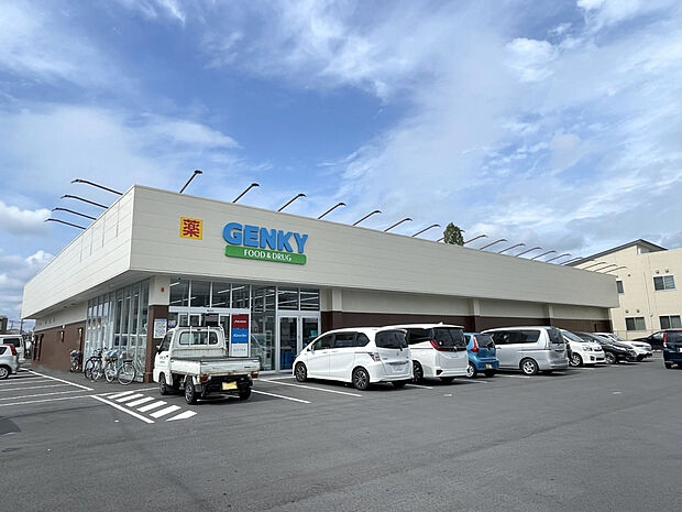 ゲンキー上条店（約800m）