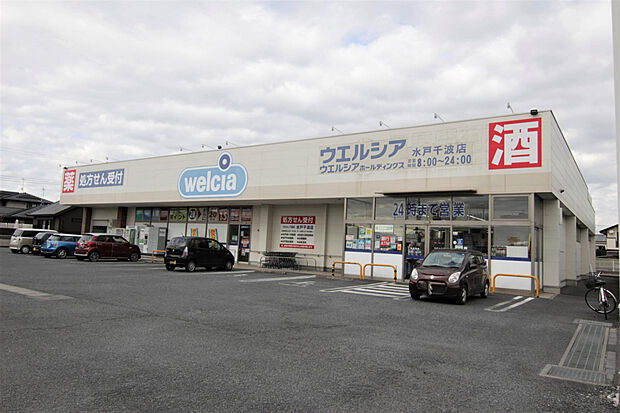 ウエルシア水戸見和店（約735m）