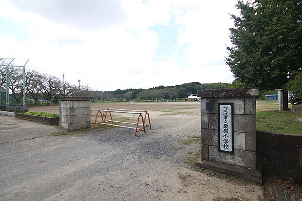 栗原小学校（約1,900m）