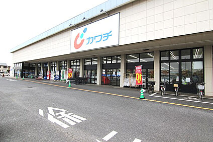 カワチ薬品土浦南店 1100m