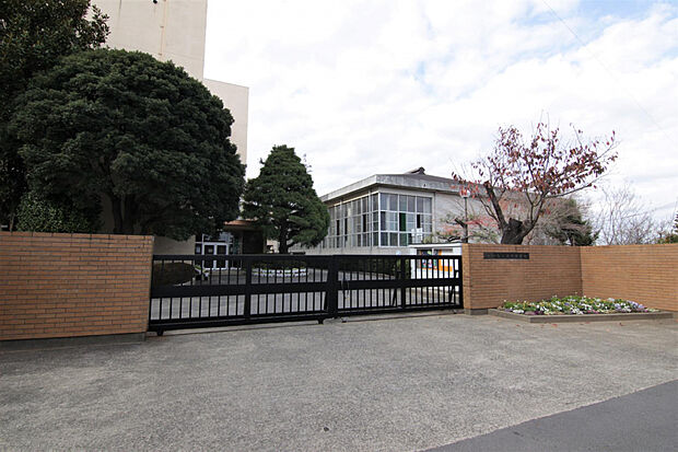 緑岡中学校（約847m）