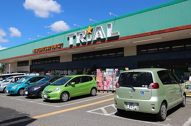 トライアル 牛久店（約984m）