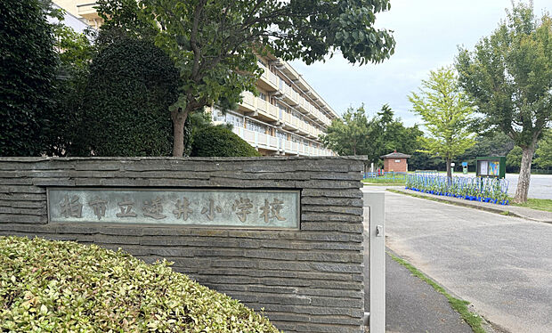 柏市立逆井小学校（約773m）