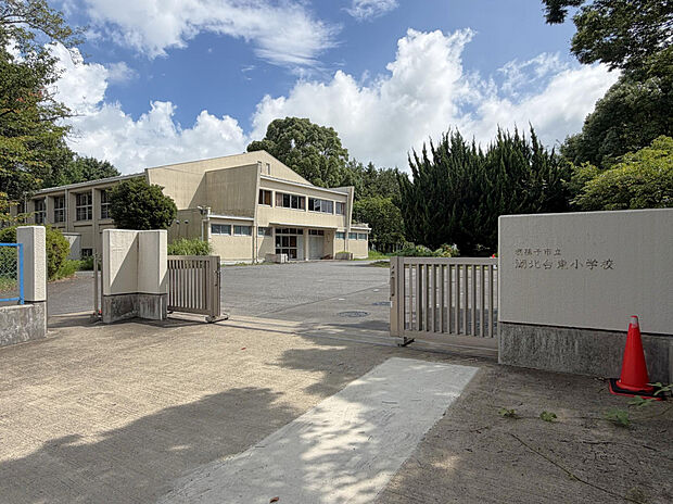 湖北台東小学校（約181m）