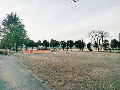 大原公園(八潮市) 244m