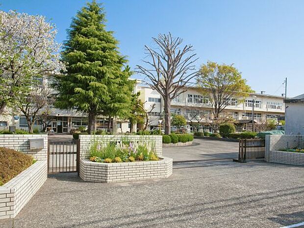 相模原市立谷口台小学校(約253m)