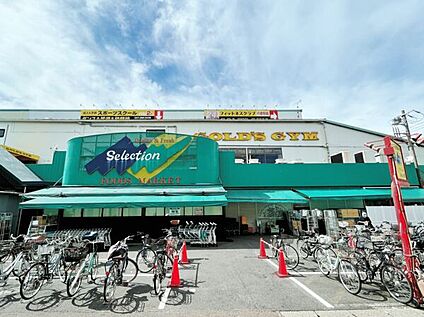 セレクション行徳店 808m