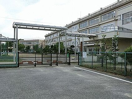 柏市立柏第三中学校 1084m