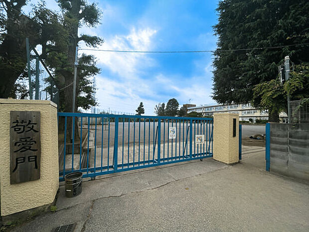 川口市立鳩ヶ谷小学校(約851m)