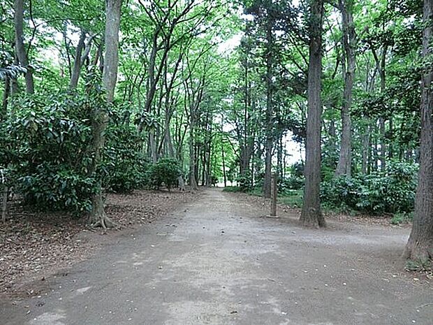 松ヶ丘ふるさと公園(約401m)