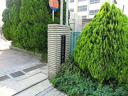 市川市立高谷中学校 1595m
