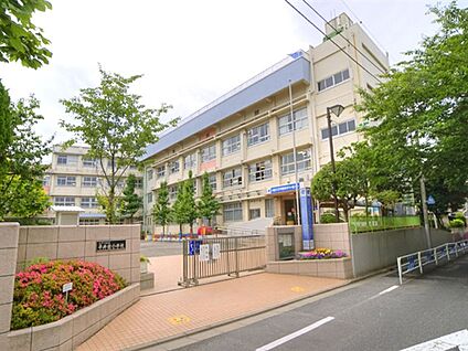 江戸川区立平井南小学校 583m