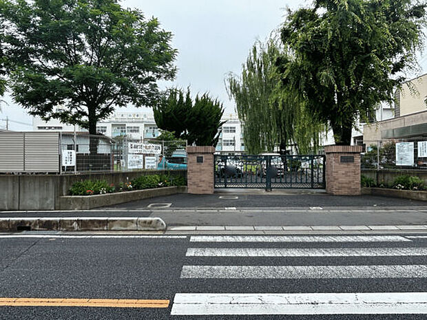 川口市立芝小学校（約27m）