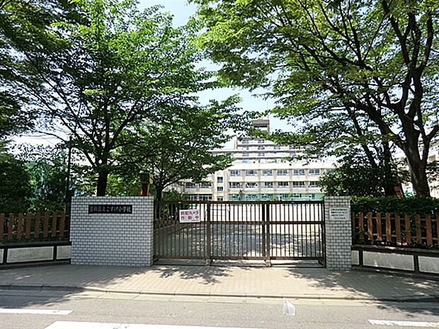葛飾区立こすげ小学校（約747m）