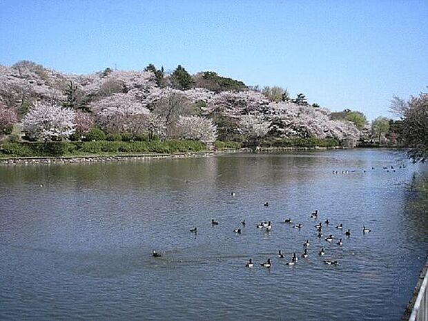 三ツ池公園(約431m)