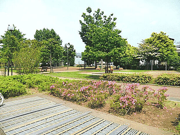 中道公園(約800m)