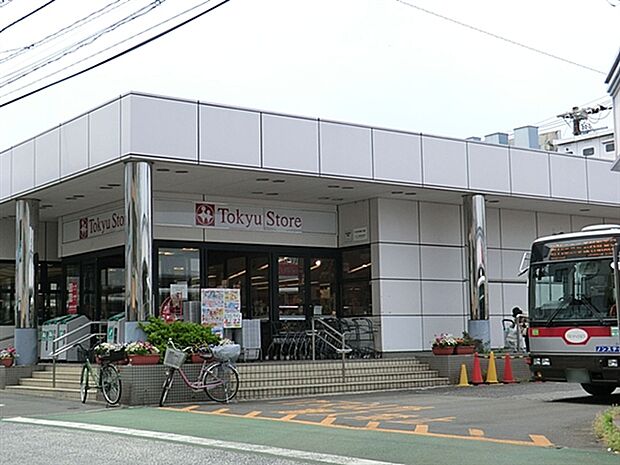 東急ストア洗足店(約697m)